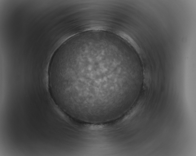 X0000089960890200706291227