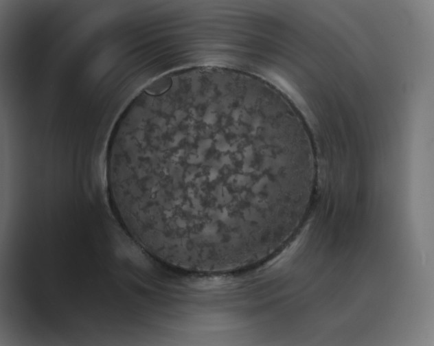 X0000089960891200706291227