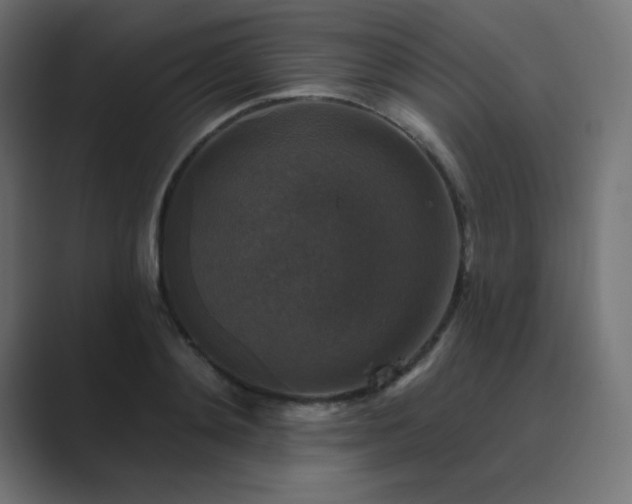 X0000089960892200706291227