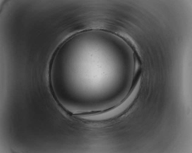 X0000089960894200706291227