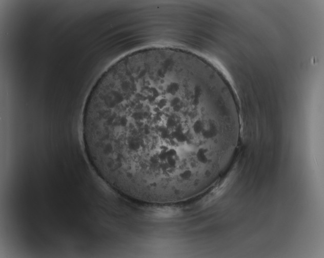 X0000089960895200706291227