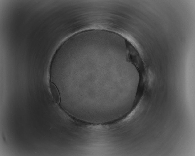 X0000089960896200706291227