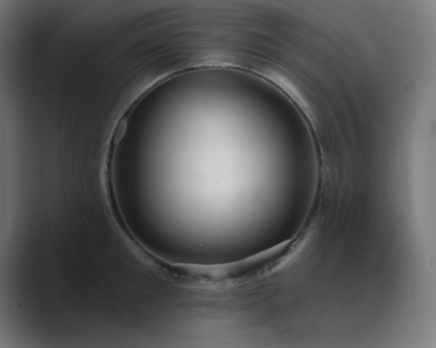 X0000089960901200706291227