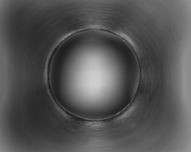 X0000089960902200706291227