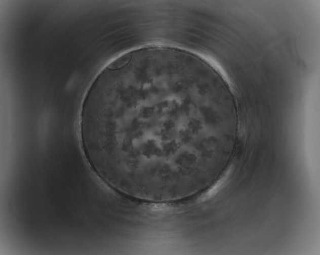 X0000089960903200706291227