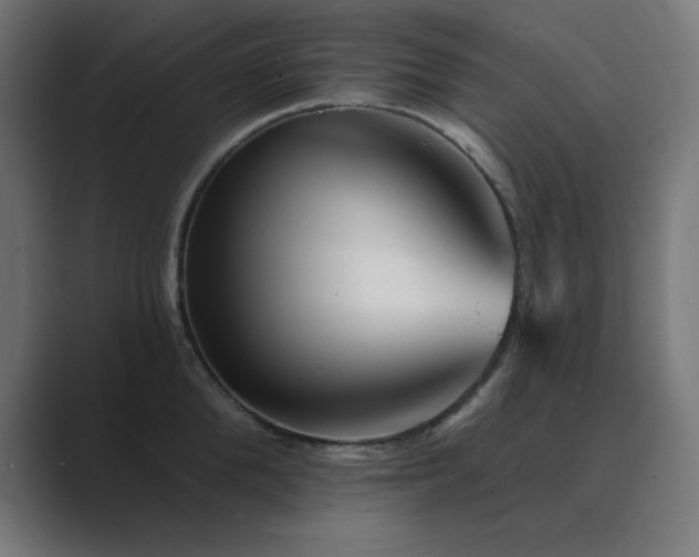 X0000089960904200706291227