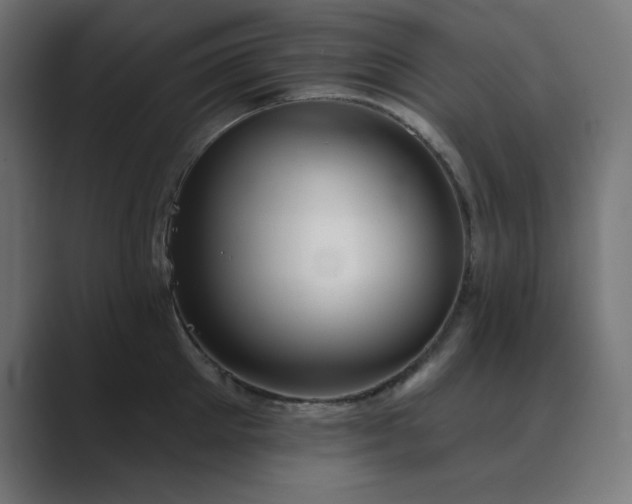X0000089960905200706291227