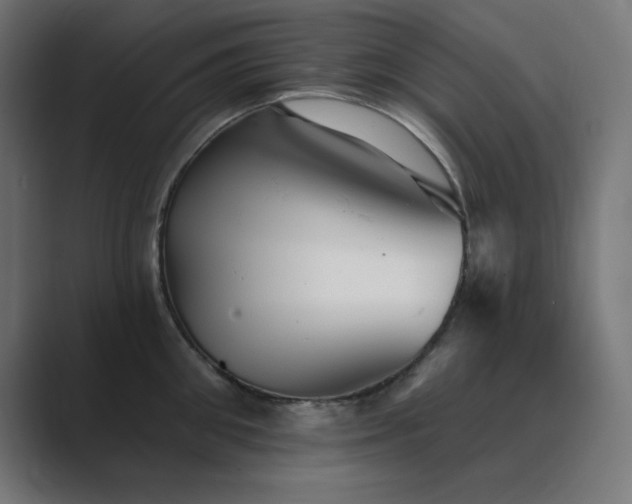 X0000089960906200706291227