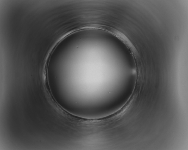 X0000089960908200706291227