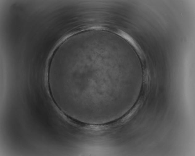 X0000089960910200706291227