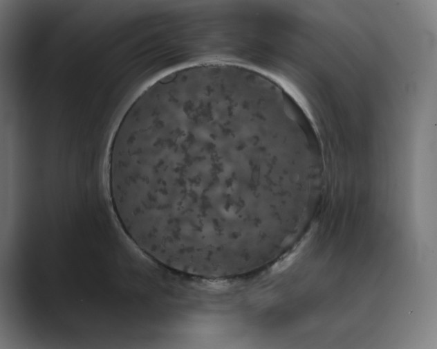 X0000089960911200706291227