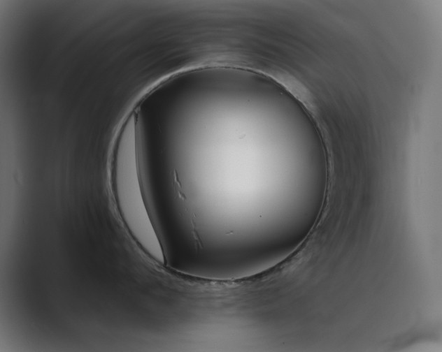 X0000089960912200706291227