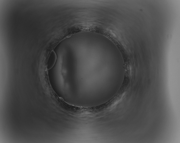 X0000089960913200706291226