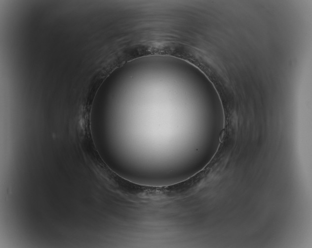 X0000089960914200706291226
