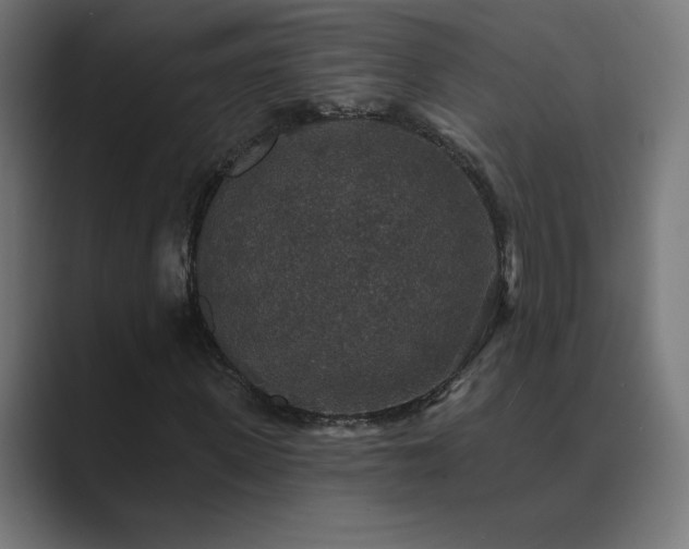 X0000089960915200706291226