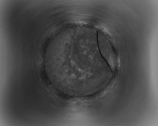 X0000089960917200706291226