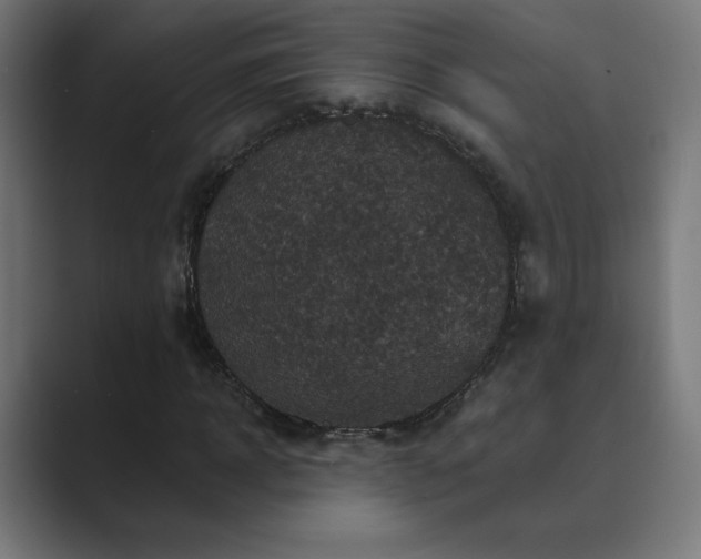 X0000089960918200706291226