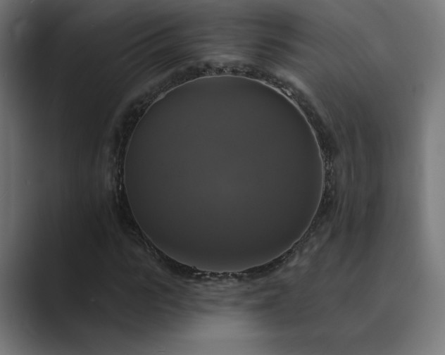 X0000089960919200706291226