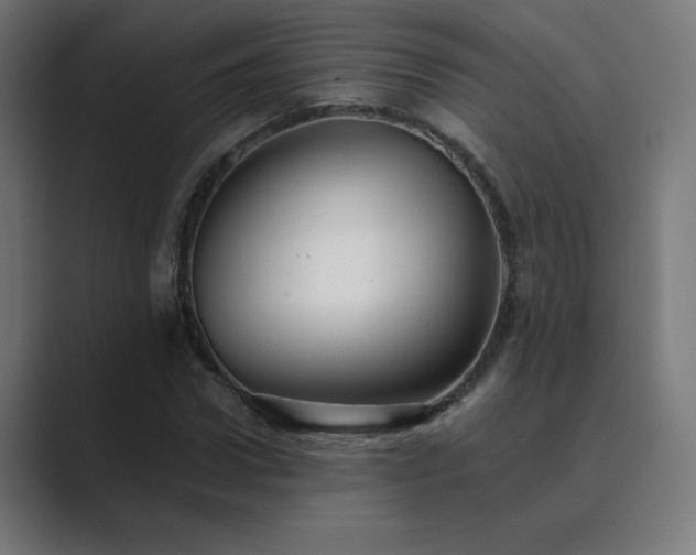 X0000089960922200706291227
