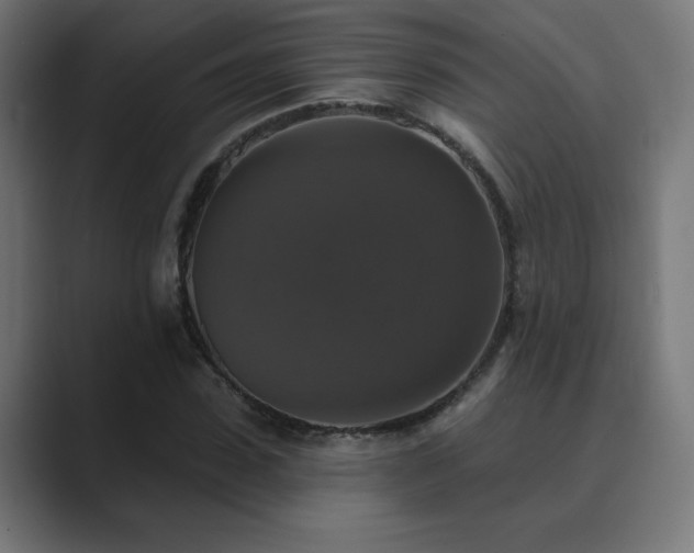 X0000089960923200706291227