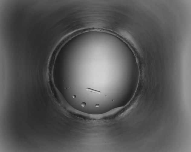 X0000089960924200706291227