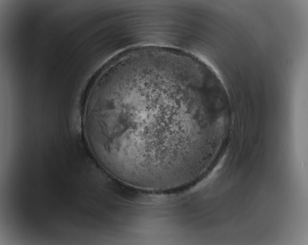 X0000089960925200706291227