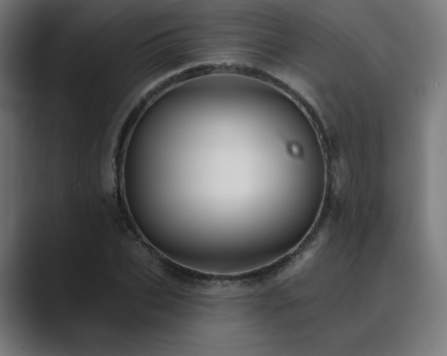 X0000089960927200706291227