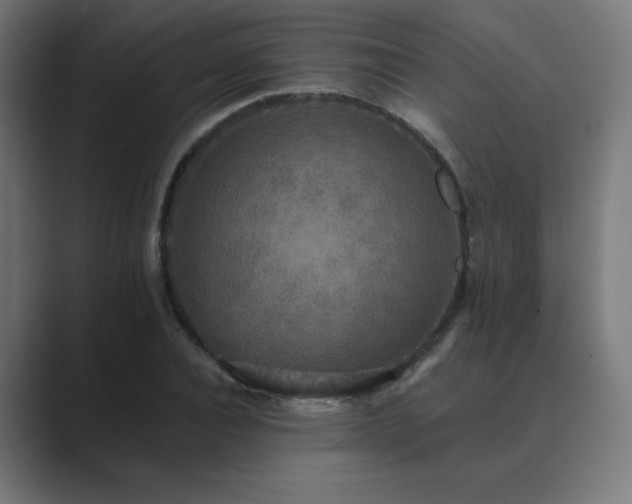 X0000089960928200706291227