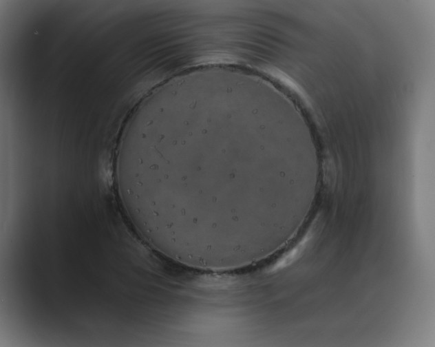 X0000089960929200706291227