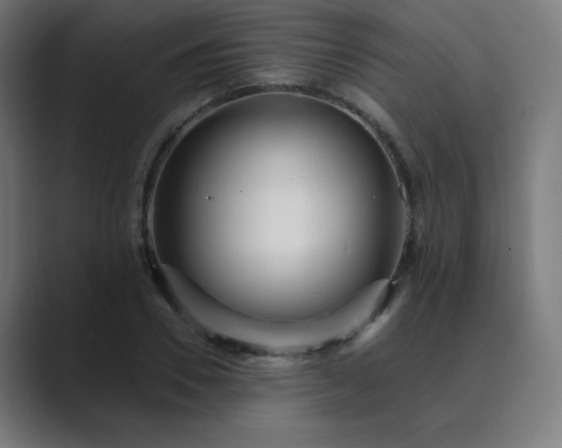 X0000089960930200706291227