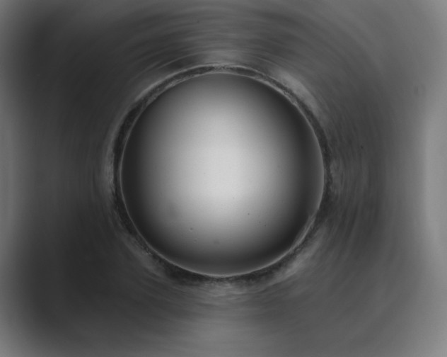 X0000089960931200706291227