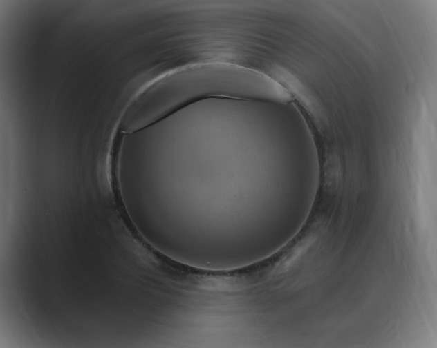 X0000089960932200706291227