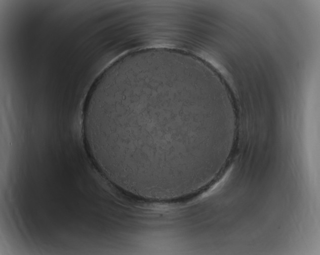 X0000089960933200706291227