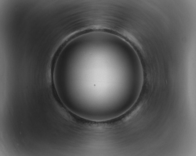 X0000089960934200706291227