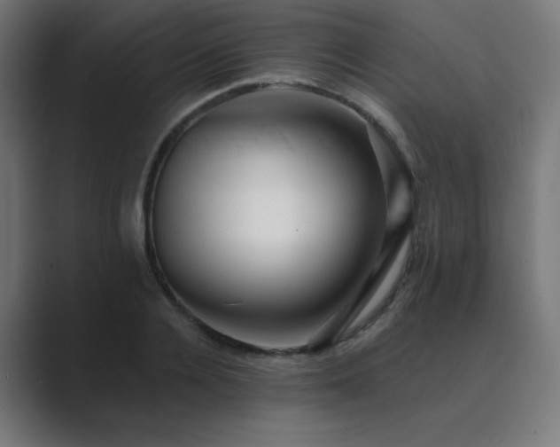 X0000089960936200706291227