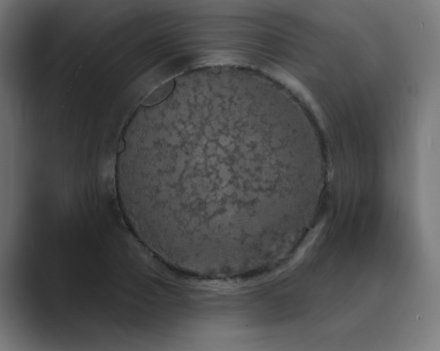 X0000089960937200706291227