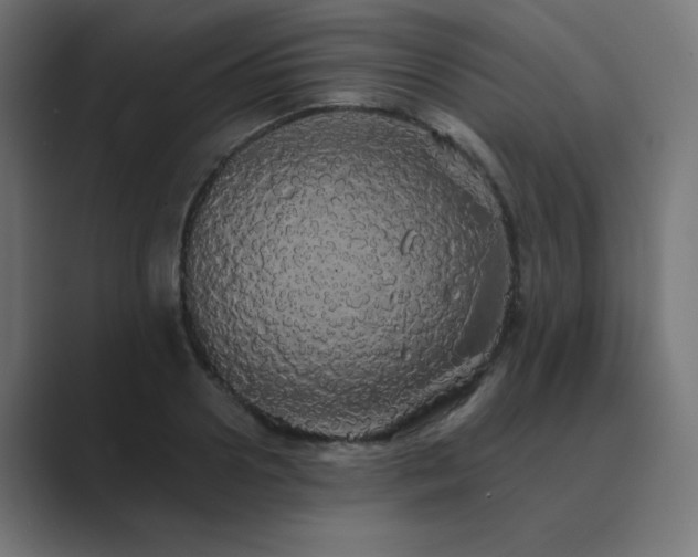 X0000089960938200706291227