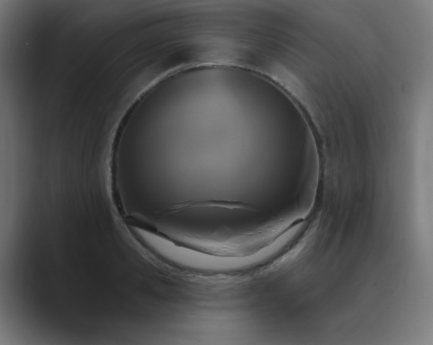 X0000089960941200706291227