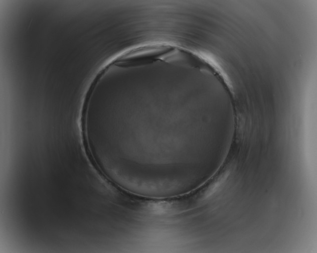 X0000089960943200706291227