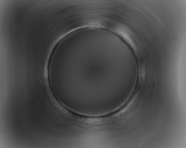 X0000089960944200706291227