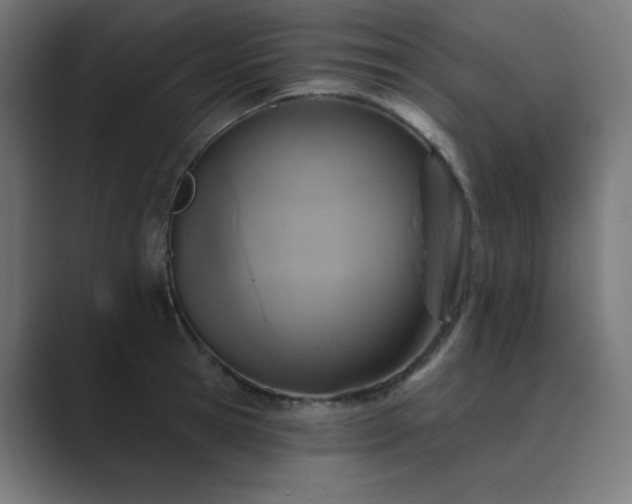 X0000089960945200706291227