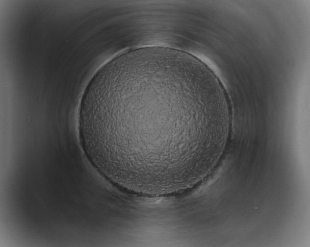 X0000089960949200706291227