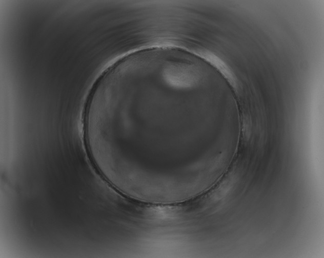 X0000089960950200706291227