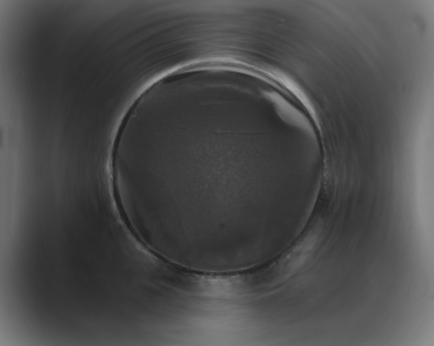 X0000089960951200706291227