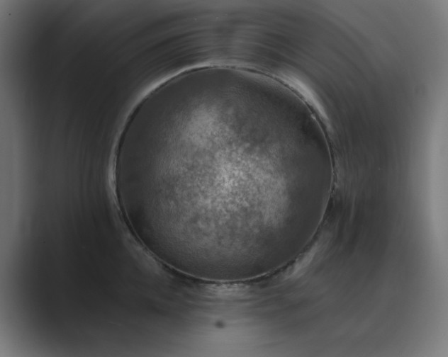 X0000089960952200706291227