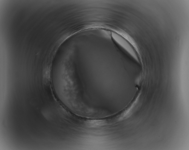 X0000089960953200706291227