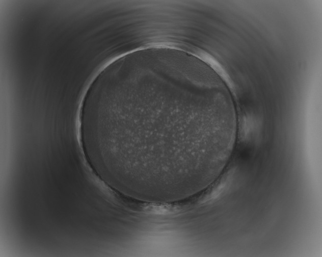 X0000089960955200706291227