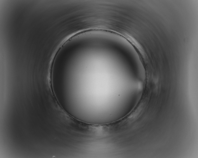 X0000089960956200706291227