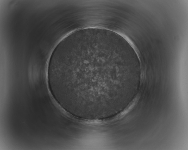 X0000089960957200706291227
