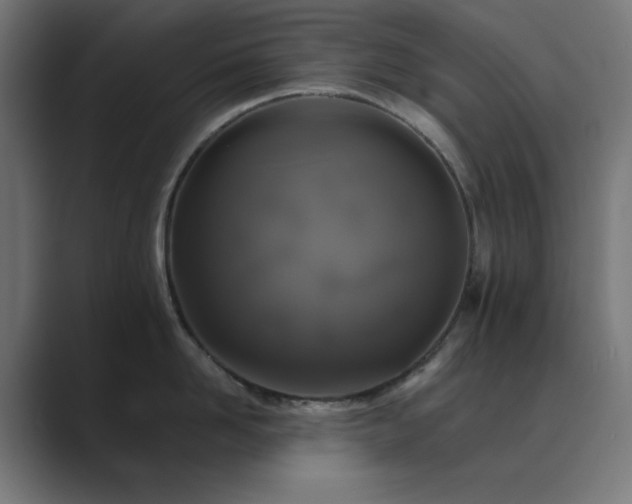 X0000089960958200706291227